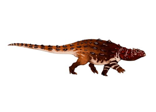 Gobisaurus