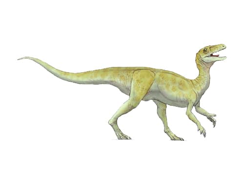 Guaibasaurus