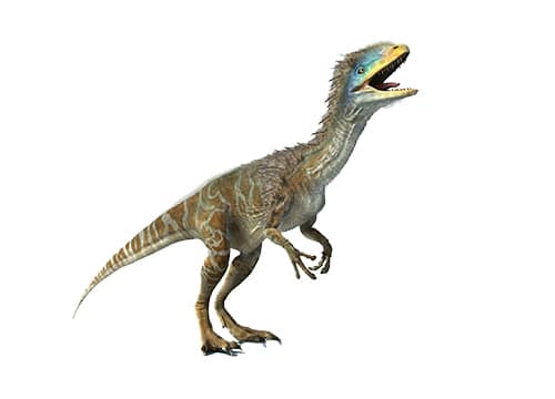 Guanlong