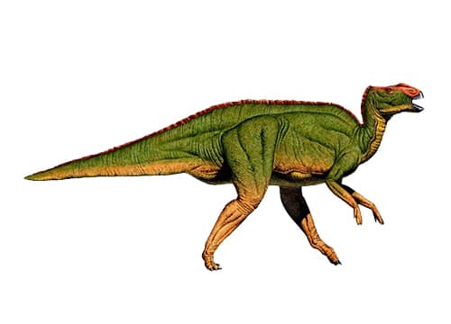 Hadrosaurus