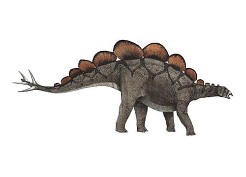 Hesperosaurus