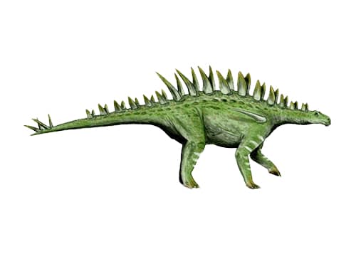 Huayangosaurus