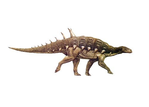 Hylaeosaurus