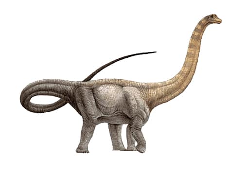 Hypselosaurus