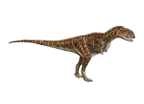 Indosuchus