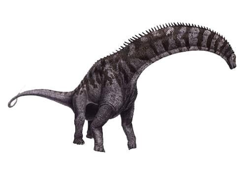 Isisaurus