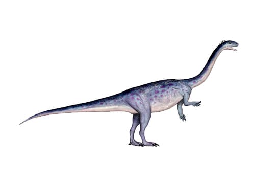 Jingshanosaurus