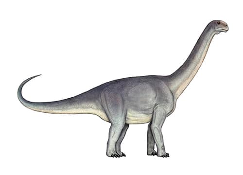 Kotasaurus