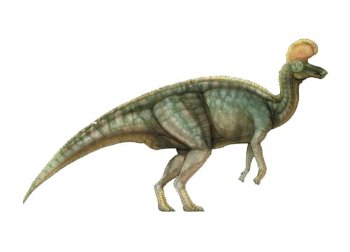 Lambeosaurus