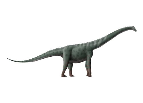 Lapparentosaurus