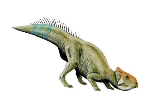 Leptoceratops