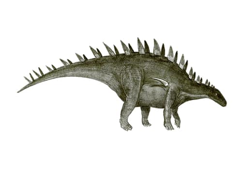 Lexovisaurus