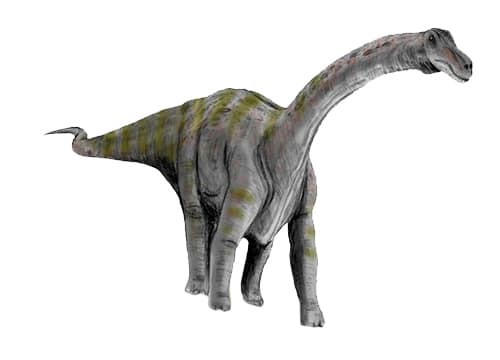 Ligabuesaurus