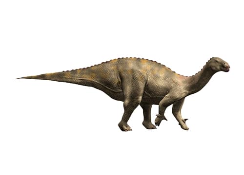 Lurdusaurus