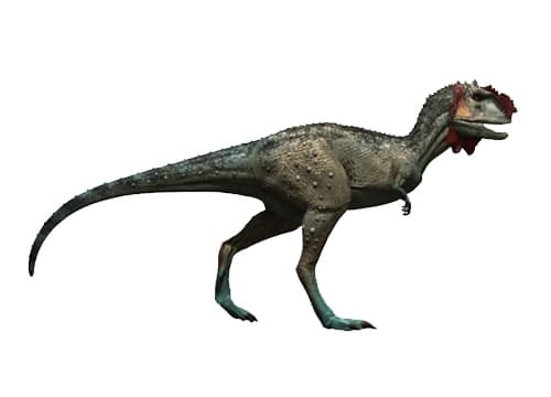 Majungasaurus