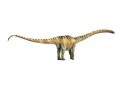 Mamenchisaurus