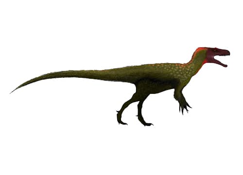 Marshosaurus