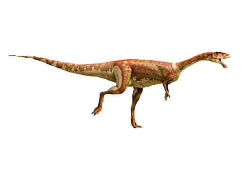 Masiakasaurus