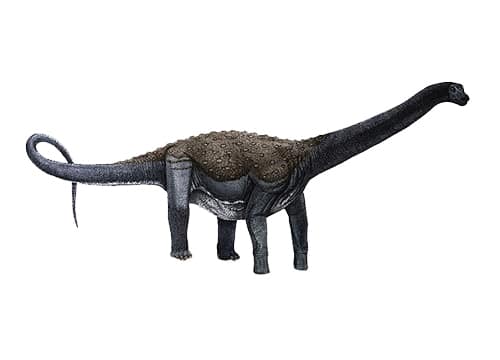 Maxakalisaurus