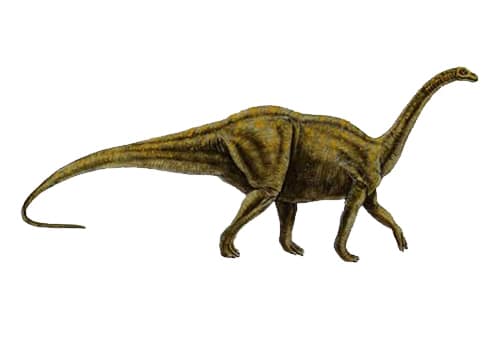 Melanorosaurus