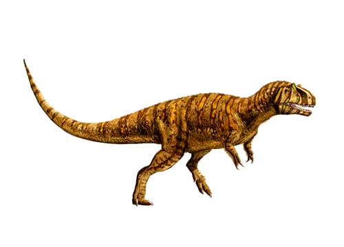 Metriacanthosaurus