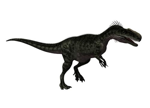 Monolophosaurus