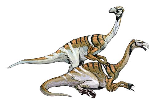 Nanshiungosaurus