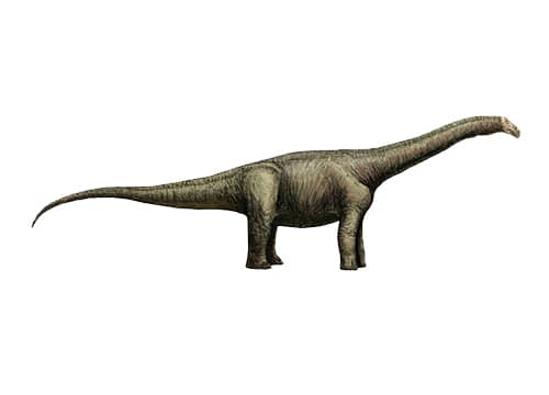 Nemegtosaurus