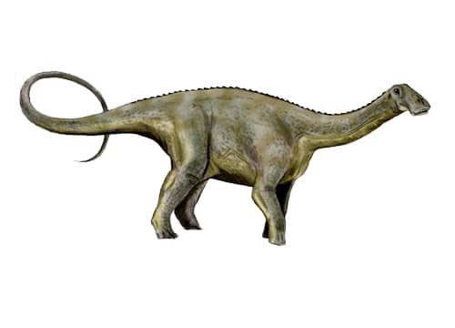 Nigersaurus