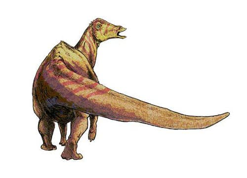 Nipponosaurus