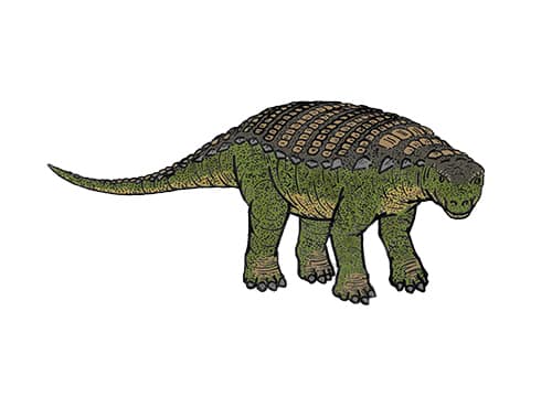 Nodosaurus