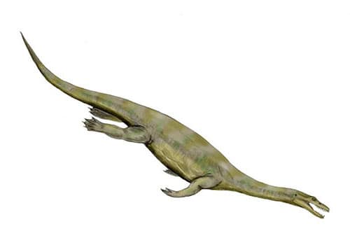 Nothosaurus