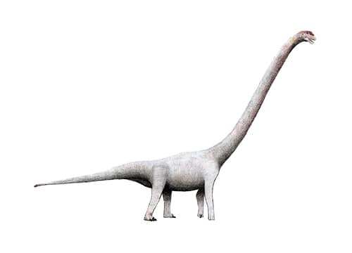 Omeisaurus