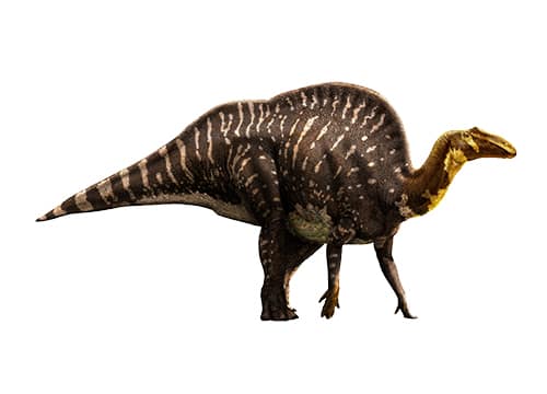 Ouranosaurus