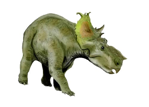 Pachyrhinosaurus