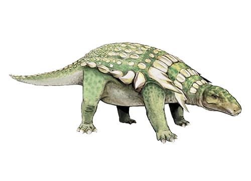 Panoplosaurus