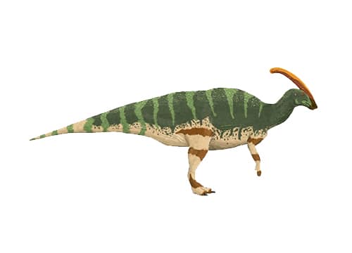 Parasaurolophus 