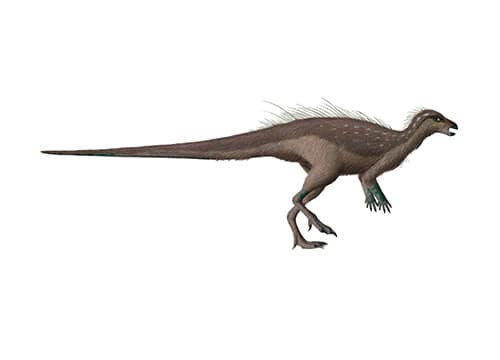 Parksosaurus