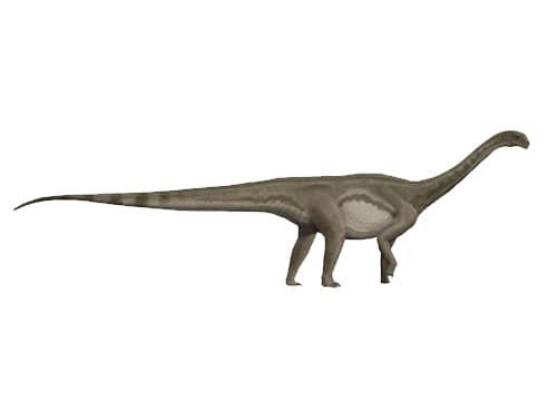 Patagosaurus