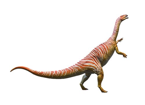 Plateosaurus