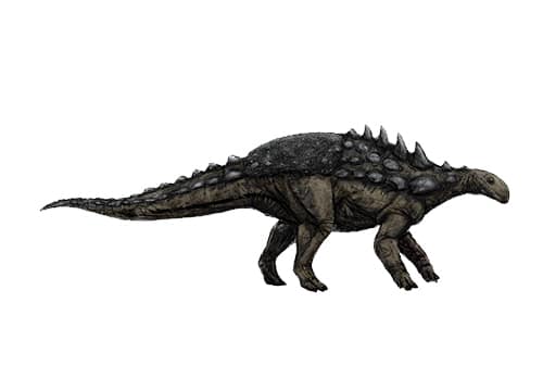 Polacanthus