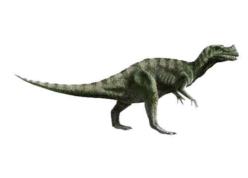 Proceratosaurus