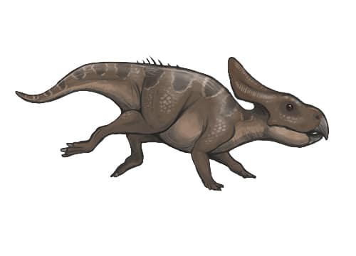 Protoceratops