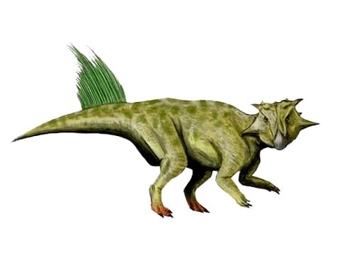 Psittacosaurus