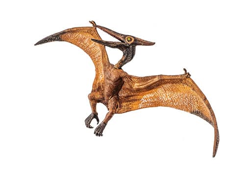 Pterodactyl