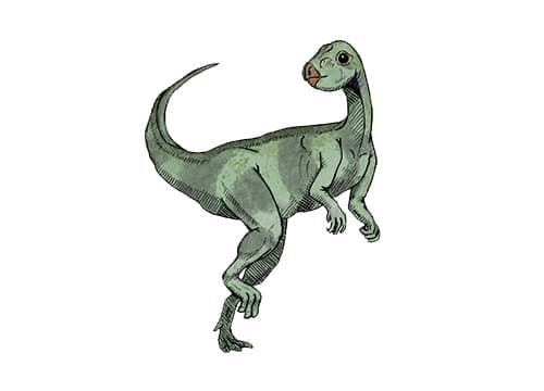 Qantassaurus