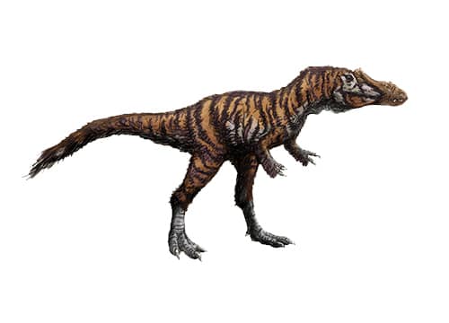 Qianzhousaurus