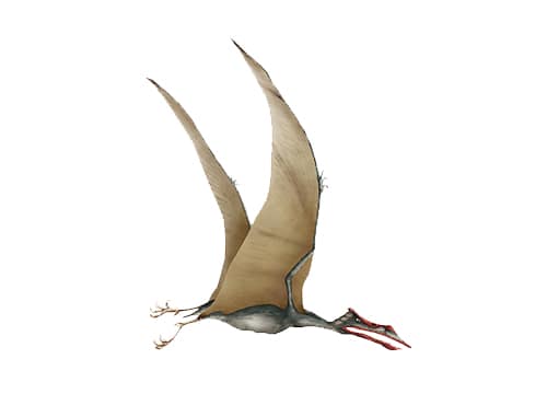 Quetzalcoatlus