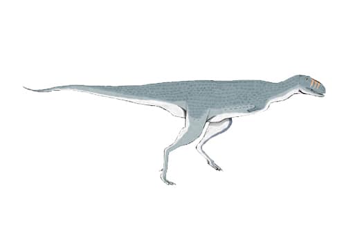 Quilmesaurus