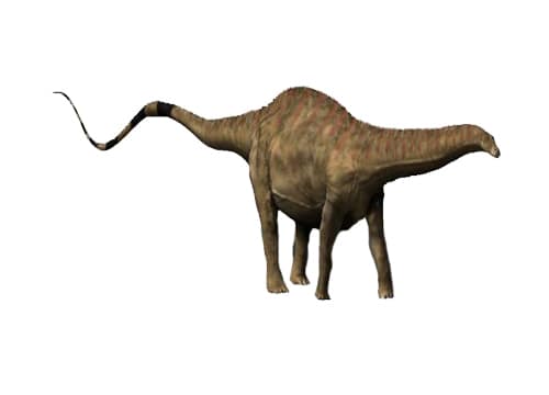 Rebbachisaurus